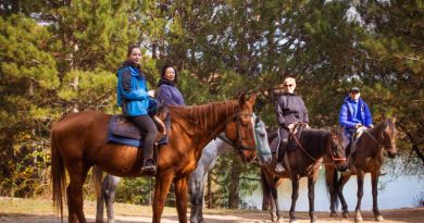 Экскурсия из Анапы: Конные прогулки в Сукко фото 12024