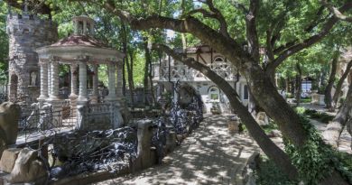 Экскурсия из Анапы: Геленджик и Кабардинка - Старый парк фото 11404
