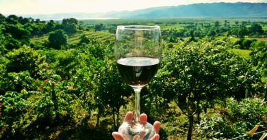 Экскурсия из Анапы: Тамань и дегустация на винодельне «Кубань-Вино» фото 5931
