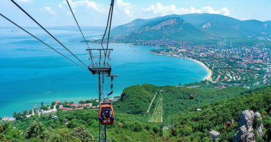 Остановка на маршруте — Сафари-Парк