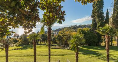 Экскурсии в `город Пицунда, Абхазия` из Анапы